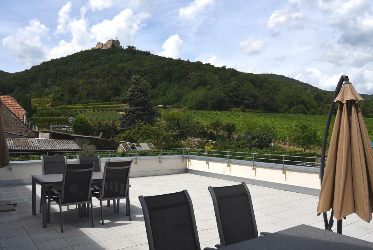 Апартаменты Weingut Nickel Нойштадт-ан-дер-Вайнштрасе Экстерьер фото
